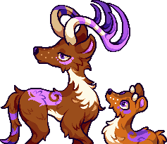 Deer